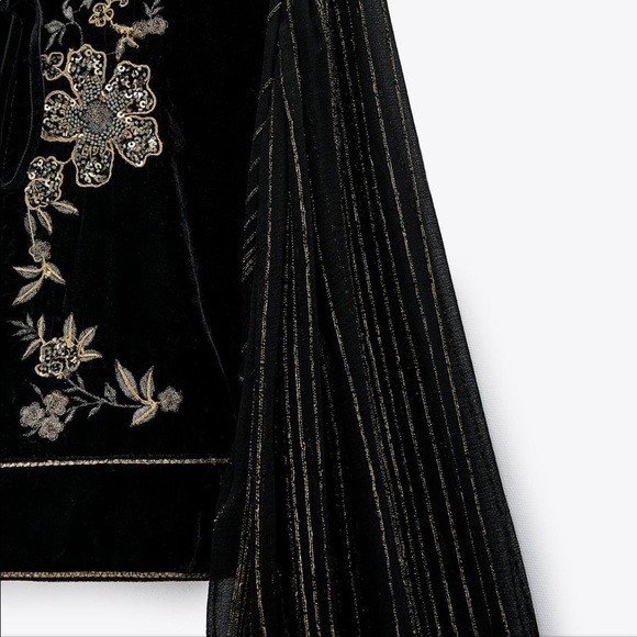 ZARA Embroidered Velvet Jacket - Picture 2 of 7